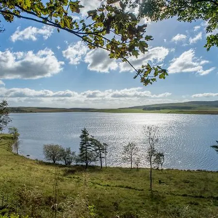 Affittacamere Warren House